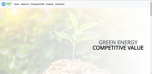 Gestindo website